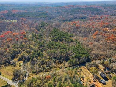 000 Lower Dowda Mill Rd, Jasper, GA 30143 - photo 5