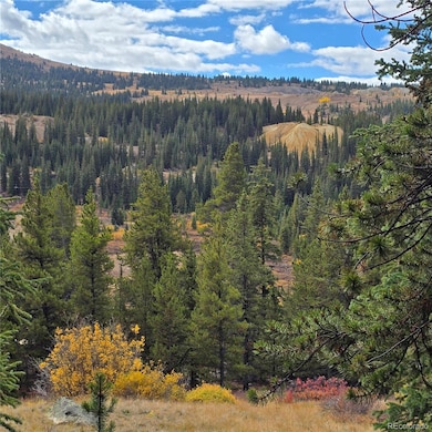 5347 Monitor Lode Claims, Leadville, CO 80461 - photo 4