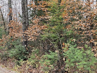 20251111_122714_result