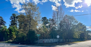 103 E Kelliwood, Goldsboro, NC 27534 - photo 7