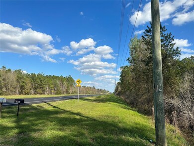 000 State Rd, Hawthorne, FL - photo 2