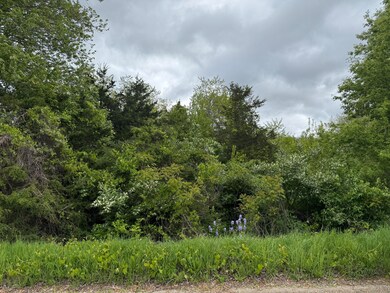IMG_3965
