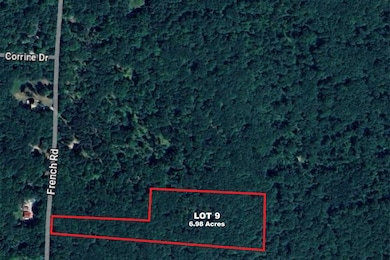Aerial viewof his acreage