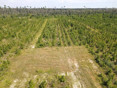 19597 NW Doug Price Rd, Blountstown, FL 32424 - photo 6