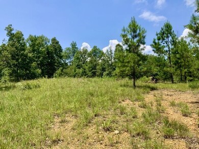 0 Bear Creek Rd unit 24203453, Waverly, TN 37185 - photo 5