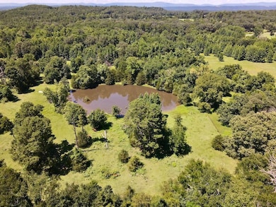 1250 Cr 2651 unit LotWP001, Lamar, AR 72846 - photo 3