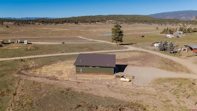 147 Apple Ct, Pagosa Springs, CO 81147 - photo 5