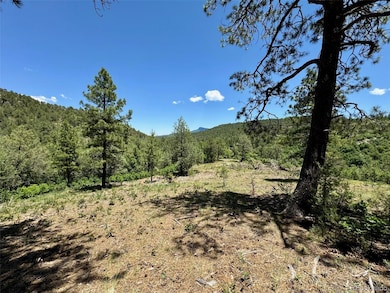 33161 Gallinas Pkwy unit D24, Trinidad, CO 81082 - photo 5