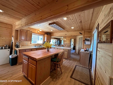 Lake Clark Cabin - Kitchen 4