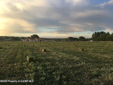 918 Road 4990, Bloomfield, NM 87413 - photo 3