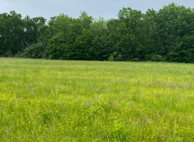 LT 138 Bandit Way, Savannah, TN 38372 - photo 4