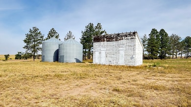 3785 Rd 222, Cheyenne, WY 82009 - photo 6