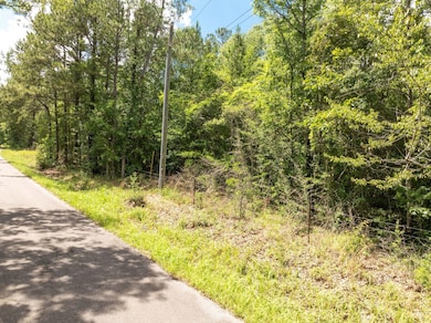 1.5 acres J Barnes Rd, Purvis, MS 39475 - photo 3