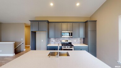 7095 Matthews Pass, Bettendorf, IA 52722 - photo 4