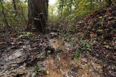 000 Winchester Ridge Rd, Tunas, MO 65764 - photo 7