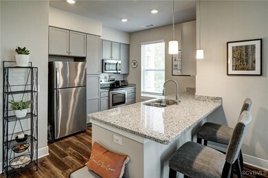 10521 Stony Bluff Dr unit 303, Ashland, VA 23005 - photo 3