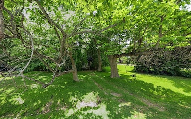 This photo showcases a lush, green backyard with m
