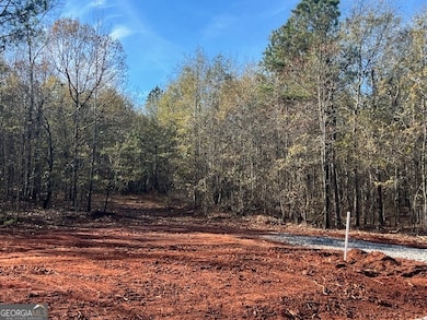 144 Berry Rd, Barnesville, GA 30204 - photo 4