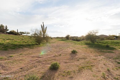 20230206-IMG_6582