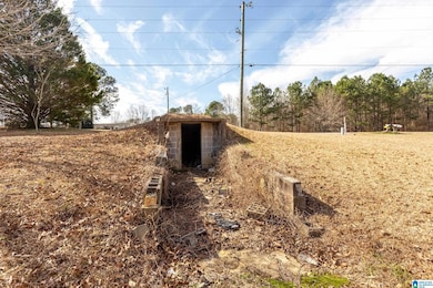 3820 Logan Martin Dam Rd, Cropwell, AL 35054 - photo 7