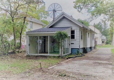 3 Backyard