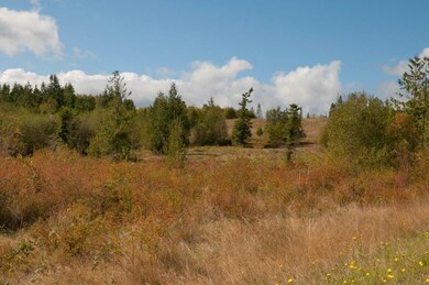 0 Lot 70 Graceland Way unit 847382, Port Hadlock, WA 98339 - photo 2