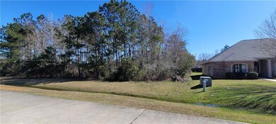Deep 70 x 209 wooded lot