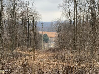 Below Walker Mountain Rd, Cookeville, TN 38506 - photo 2