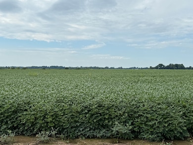 136 Sfc 224, Forrest City, AR 72335 - photo 3