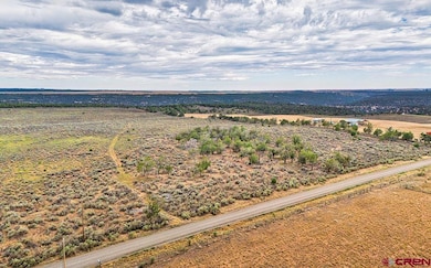 TBD 1 N 20 Rd, Cortez, CO 81321 - photo 3