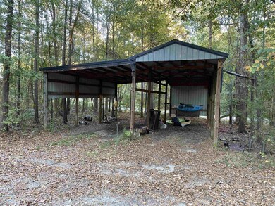 125 Joe Free Rd, Chapin, SC 29036 - photo 3