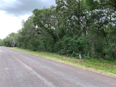 1627/1663 E Naperville Ln, Hernando, FL 34442 - photo 6