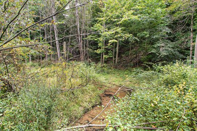Blue Creek