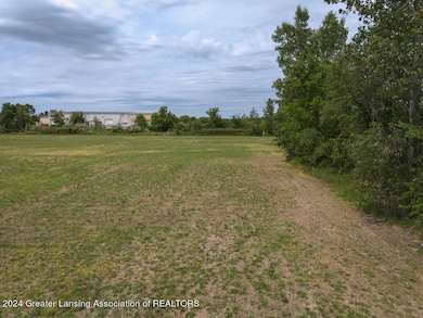 V/L W M21, Fowler, MI 48835 - photo 4