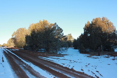 0 Power Line Dr unit 227958, Aripine, AZ 85933 - photo 2