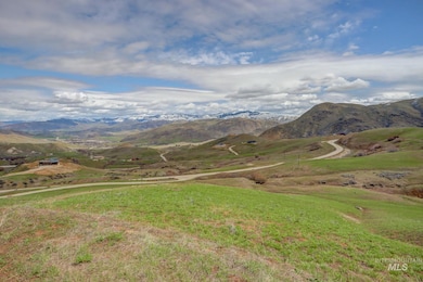 Parcel A Robbs Creek Rd, Horseshoe Bend, ID 83629 - photo 4