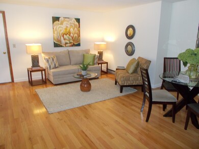 46 Chapel St, Northampton, MA 01060 - photo 3