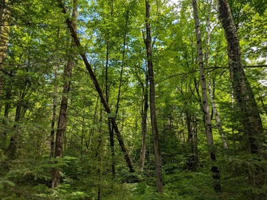 00 Dover Rd W, Phillips, WI 54555 - photo 7