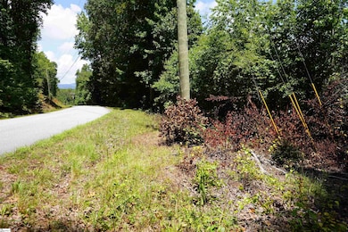 00 S Packs Mountain Rd, Taylors, SC 29687 - photo 5