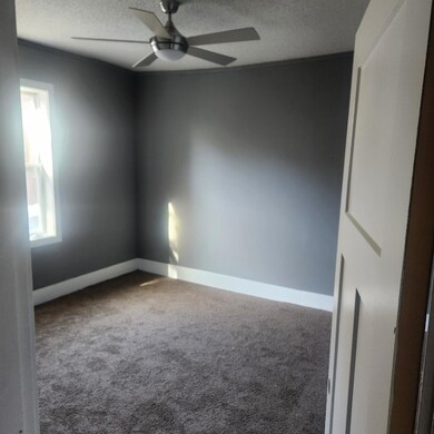 Carpeted empty room featuring ceiling fan and a te