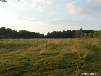 Land/Lot