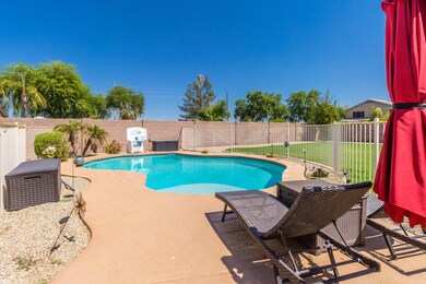 Backyard Paradise