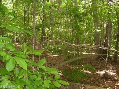 Lot 7 Geffen Ln, Asheboro, NC 27205 - photo 3