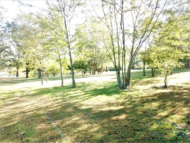 29474 County Road 9000, Dixon, MO 65459 - photo 6