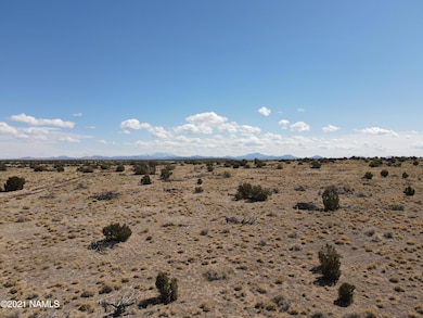10424 W Line Cook Trail, Williams, AZ 86046 - photo 7