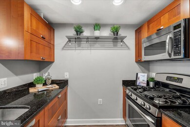 Midtown Alexandria Station Condominiums unit 720, Alexandria, VA 22303 - photo 5