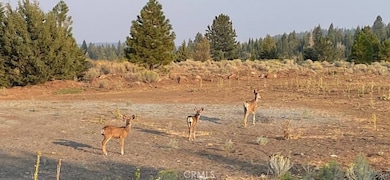 2526 Rainer Rd, Alturas, CA 96101 - photo 3