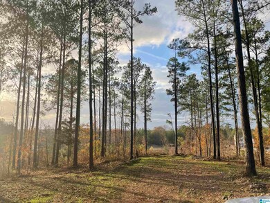 472 Saddlewood Cove unit 2, Columbiana, AL 35051 - photo 3