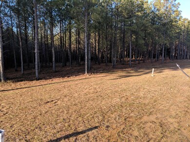 2575 River Bluffs Dr, Jasper, TN 37347 - photo 5