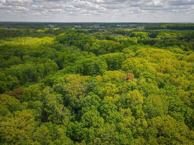 Parcel A E Conrad Rd, Custer, MI 49405 - photo 6
